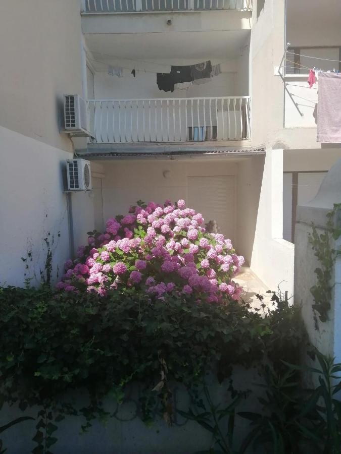 Hortensija Split Exterior foto